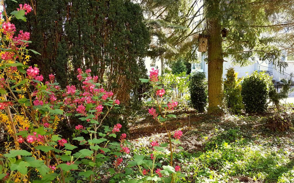 Ferienhaus Sanssouci Stahnsdorf Екстер'єр фото